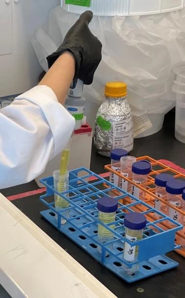 DNA extraction by an AGI scientist