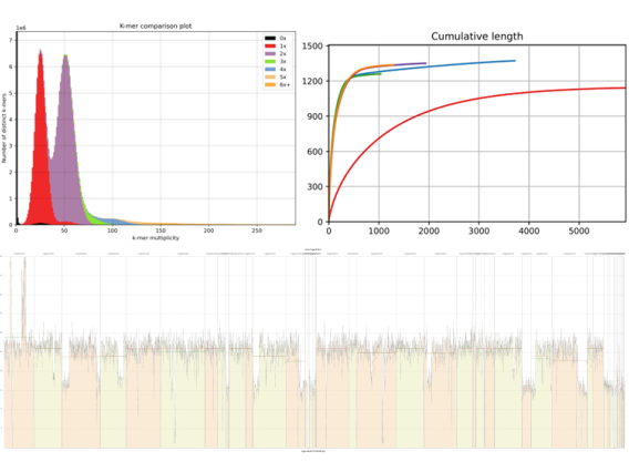 Bioinformatics