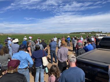 Attendees at Chile Field Day 2023